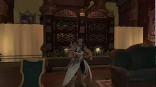Final Fantasy XIV - Patch 4 1 Squats Emote
