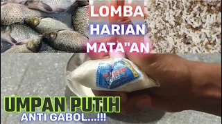 Download SIAP TARUNG BOSKUUUH 🔥🔥 UMPAN KUKUS LOMBA🔥🔥 Umpan Putih ikan Mas Siap siap punya Andalan Baru MP3