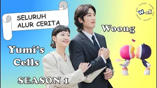  full storyline yumis cells season 1 in 8 minutes