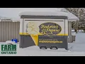 Mapleton s Organic Dairy Farms For Sale In Ontario