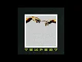 Download Lagu Gold Geisha - Tempest