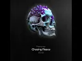 Fallen Vessel - Chasing Peace (Official Visualizer Video)