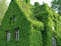 inspirasi desain rumah sejuk tanpa ac