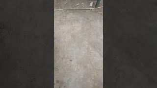 نغمة رنين جرس 