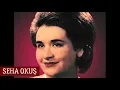 Lagu Şu Cerenin Kaşı Gözü Sürmeli - Seha Okuş (Şu cereni nerde bulup sevmeli?)