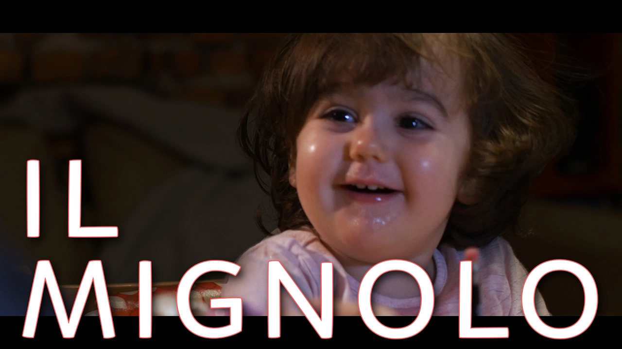 IL MIGNOLO - NIRKIOP