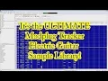 The Ulitimate ModPlug Tracker Electric Guitar Sample Library