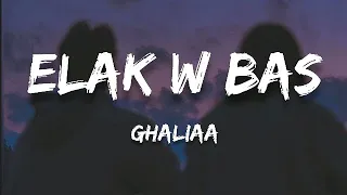 Ghaliaa Elak W Bas كلمات Lyrics English Translation 