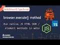browser execute method in webdriverIO run javaScript methods