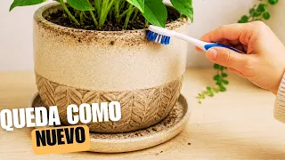 Antes de Tirar Tu Cepillo de Dientes Viejo, Mira Estas Ideas
