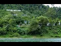 Download Lagu Tour Belum Rainforest Resort  Perak Darul Ridzuan, Malaysia
