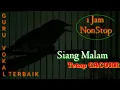 Download Lagu 1 JAM NONSTOP  FLAMBOYAN GACOR NGEBREN PANJANG ISTIMEWA buat PANCINGAN dan MASTERAN Terbaru