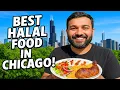 Chicago s Best Halal Food Tour Part 1 The 5-Min Vlog Ep 14