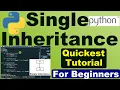 Python program single inheritance Learning Python