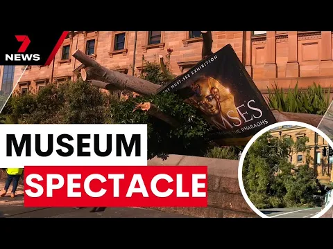 Download MP3 Two trees cause major damage at Australian Museum | 7 News Australia