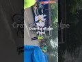 Download Lagu Crazy day on alpe d’huez today - Dutch charity ride / walk /run. The Dutch are so friendly.