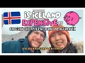 Grocery shopping in Iceland Expensive or Not Bonus