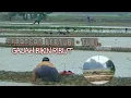 Download Lagu RIBUT | GAJAHAN APA BADAK, PATOK BESI | DI HAJARLAH
