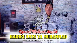 Download HABIBI ANTA YA MUHAMMAD -COVER NOER CHOLIL MP3