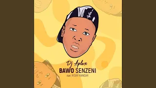 bawo senzeni feat ricky randar 