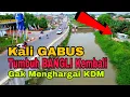 Lagu bangunan liar tumbuh lagi di kali gabus, padahal belum lama di normalisasi! gak menghargai kdm
