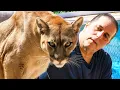 A man lovingly raised a baby cougar and even 14 years later they share a bond as strong as family