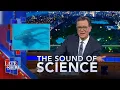 Download Lagu The Sound Of Science: Shark Throuple | Enigmatic Dinosaurs | Ocean Photog Of The Year