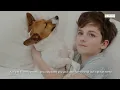 Pet-Friendly Comfort at La Quinta Inn by Wyndham Wausau Your Perfect Stay in Wausau WI