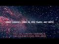 Anuel AA, Mike Towers & Jhay Cortes - subelo (video letra)