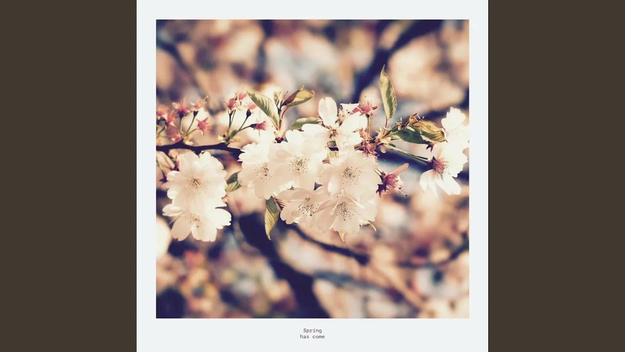 Spring has come Spring has come