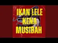 Download Lagu IKAN LELE KENA MUSIBAH