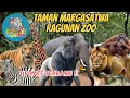 Download Lagu EXPLORE RAGUNAN ZOO 2024 | TAMAN MARGASATWA RAGUNAN | KEBUN BINATANG RAGUNAN