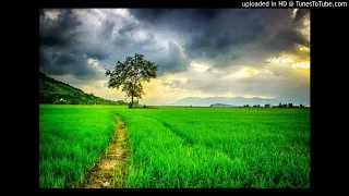 toshi weeper original mix 