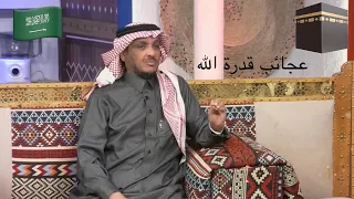 فاعل خير من عالم آخر  دندنها