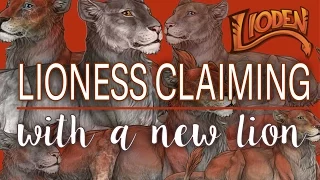 How To Claim Your First Lioden Lioness