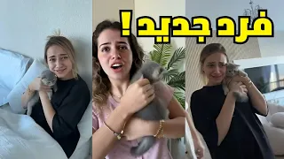 فرد جديد بعيلتنا لانا ولين محمد ومصطفى 