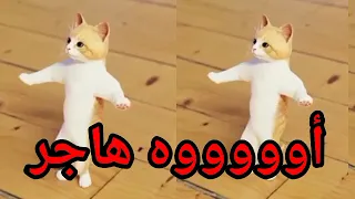 اغنية باسم هاجر الحلوة هاجر السعودية الكويت ابوظبي قطر مسقط العراق البحرين الجزائر تركيا الرياض دبي 