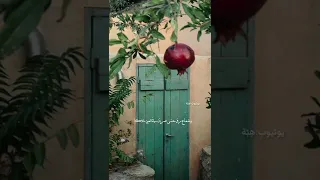 كل شيء فيك يغـري ناظري حيـن أراكـا الشاعر حسن أبو علة 