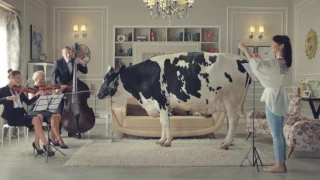 اعلان شركة لاكتيل لبن صحي وطبيعي 100 اخراج هادي الباجوري 