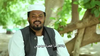 ملحمة ربي الرحيم  يا بر كريم  دندنها