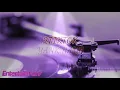 2TikTok - Yank Haus [Lyrics Video]