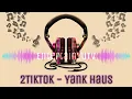 Download Lagu 2TikTok - Yank Haus [Lyrics Video]