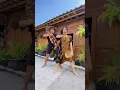 Download Lagu DANCE VIRAL GO INTERNASIONAL - MENDUNG TANPO UDAN // FIRMAN KING OF AMBYAR PEOPLE