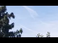 Van Nuys 1