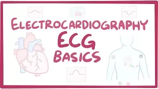 Download Electrocardiography (ECG/EKG) - basics MP3