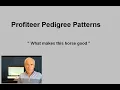 Pedigree Patterns Profiteer