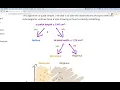 Decision Tree Classifier Lecture Codeup