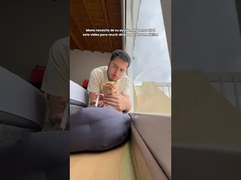 Si se hace viral, ganaremos más dinero para ayudarlo 🥺