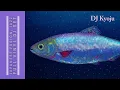 Download Lagu Full Vinyl DJ set | Japanese Fusion, Jazz / DJ Kyoju
