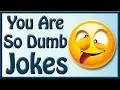 012 You Are So Dumb Jokes